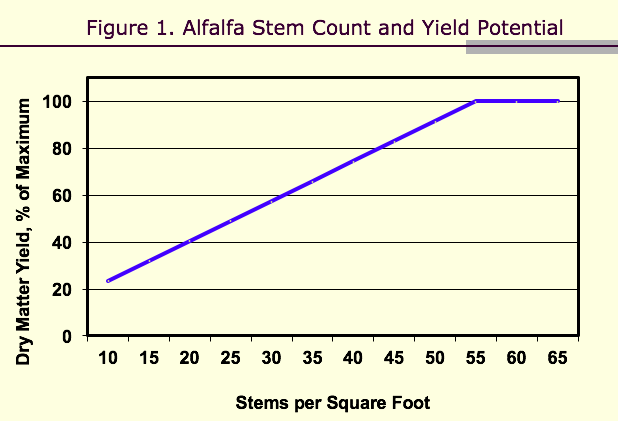 Alfalfa stem count and yield potential